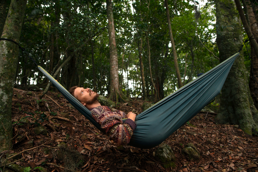 Hammock